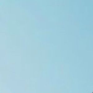 Meet your Posher, Junior